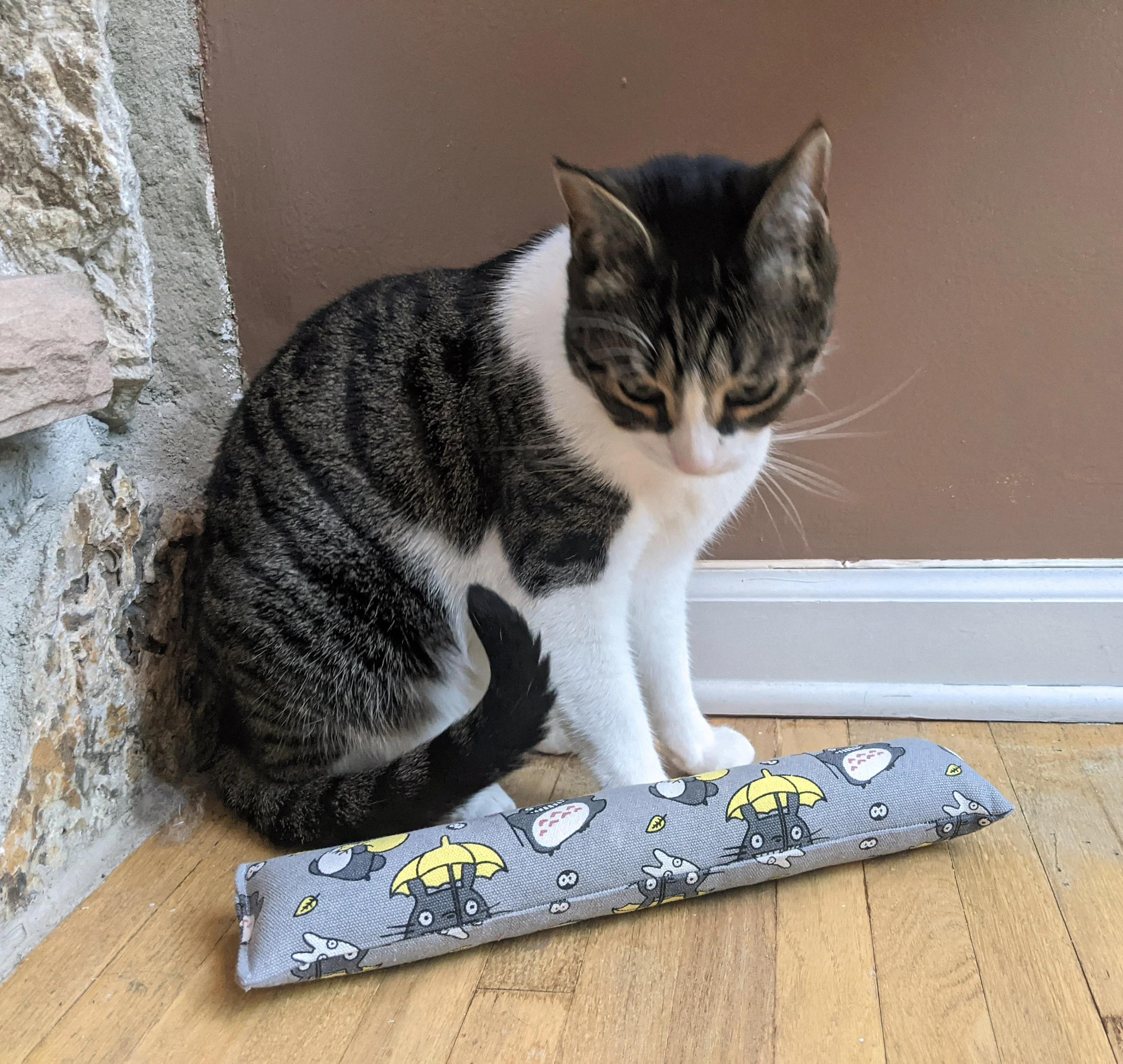 1 Jumbo Catnip & Silvervine Kicker - Totoro - Image 6