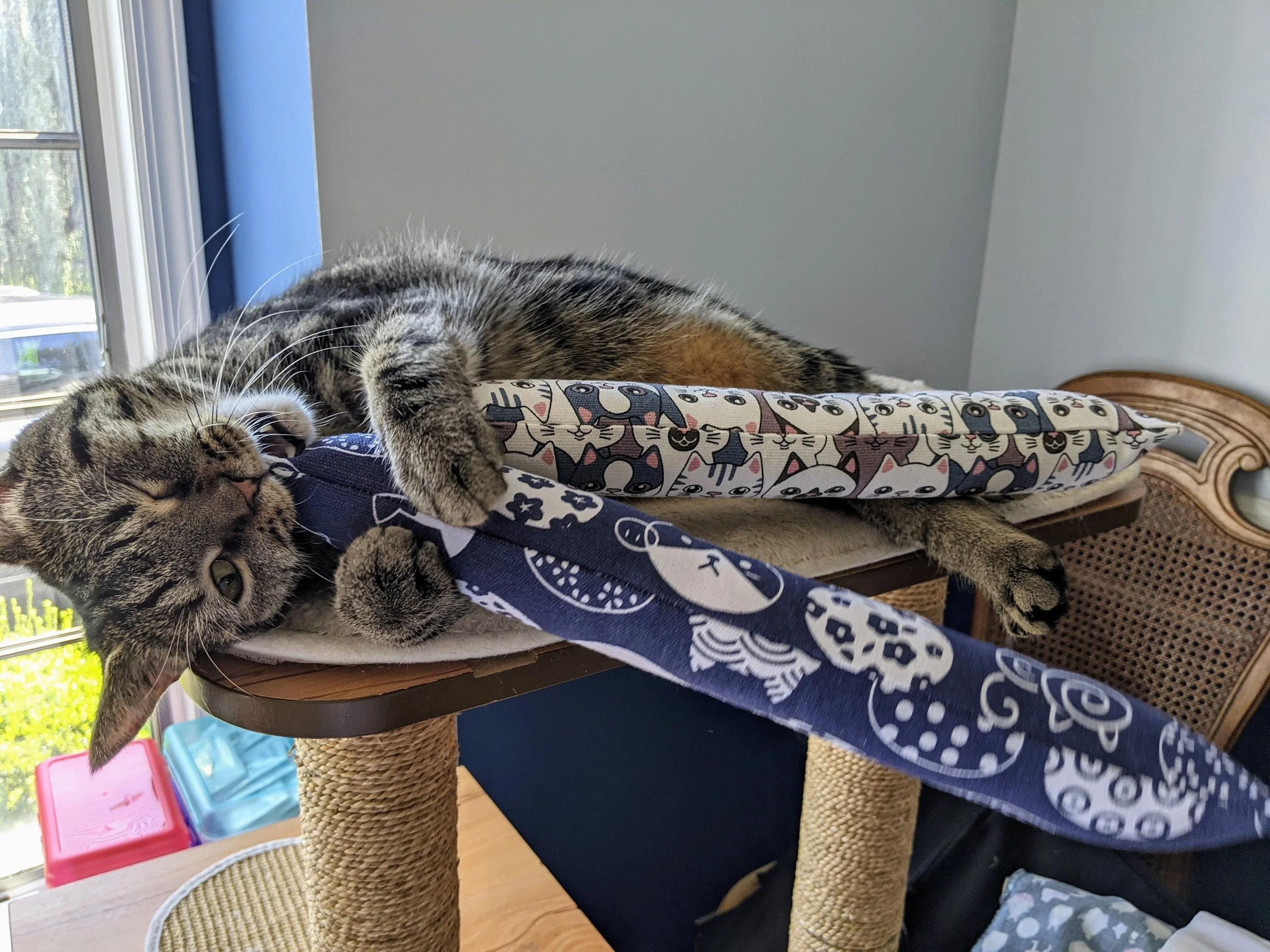 1 Jumbo Catnip & Silvervine Kicker - SG - Image 5