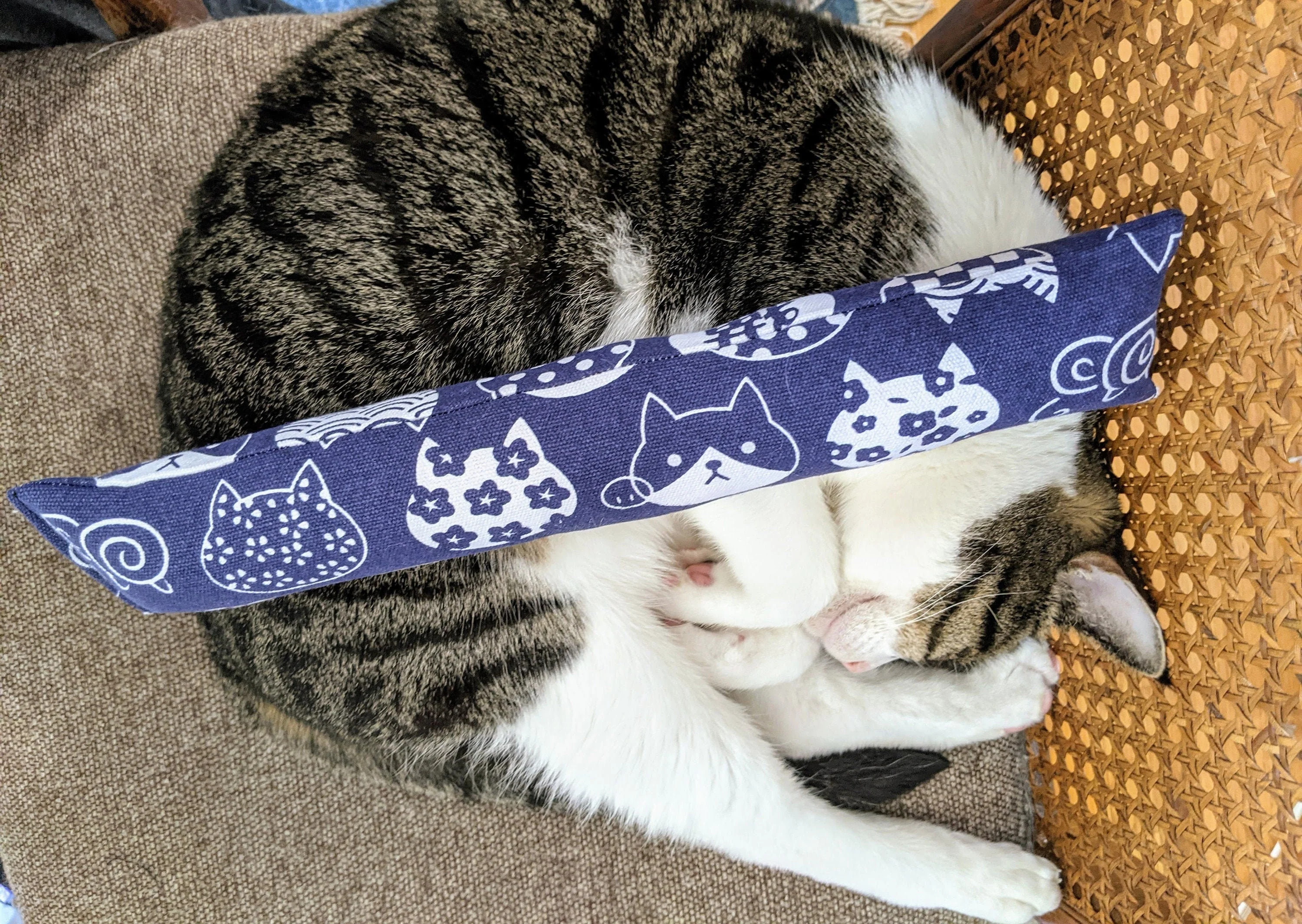 1 Jumbo Catnip & Silvervine Kicker - SG - Image 6