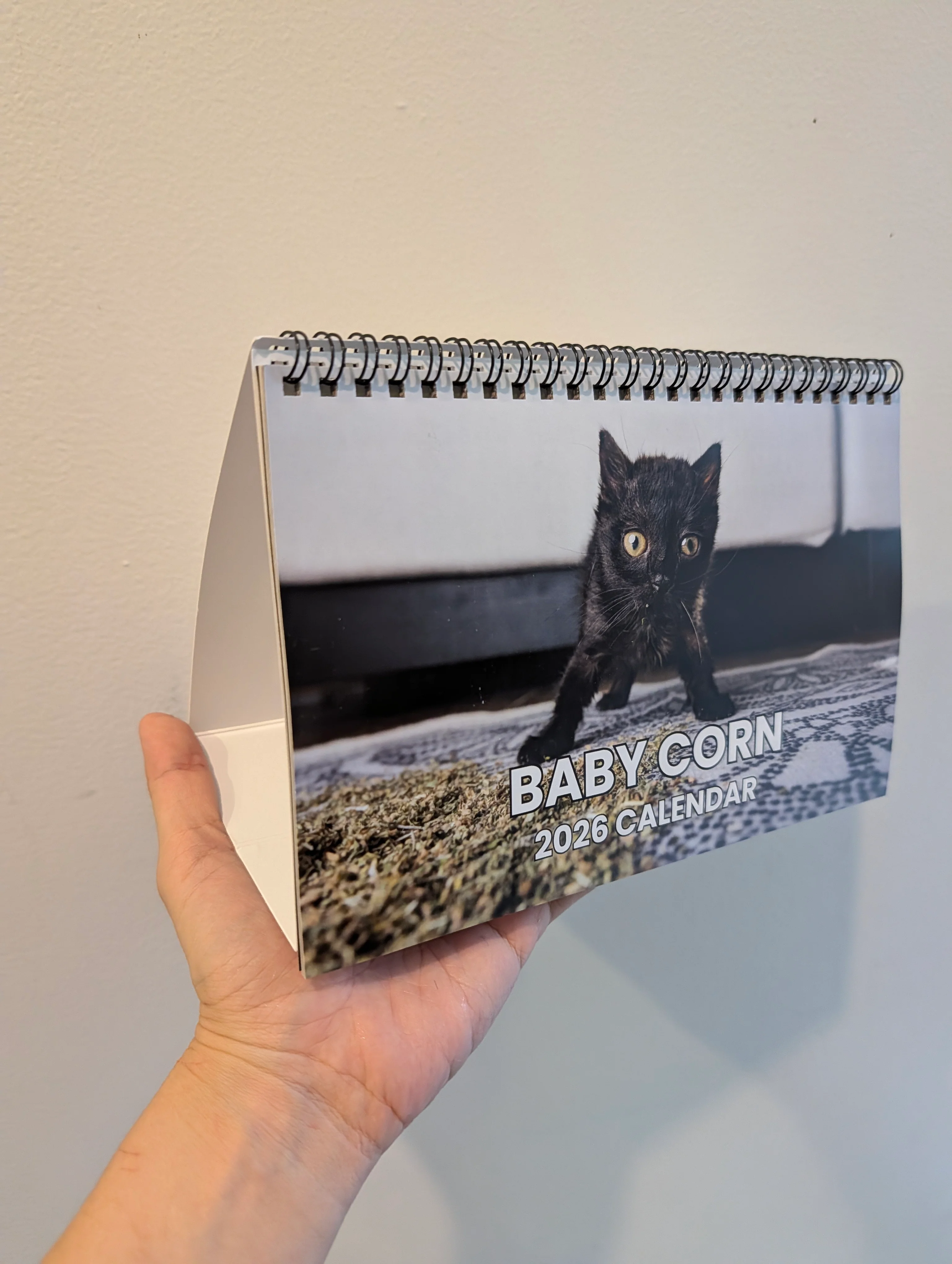 Baby Corn 2026 Desktop A Frame Calendar - Image 2