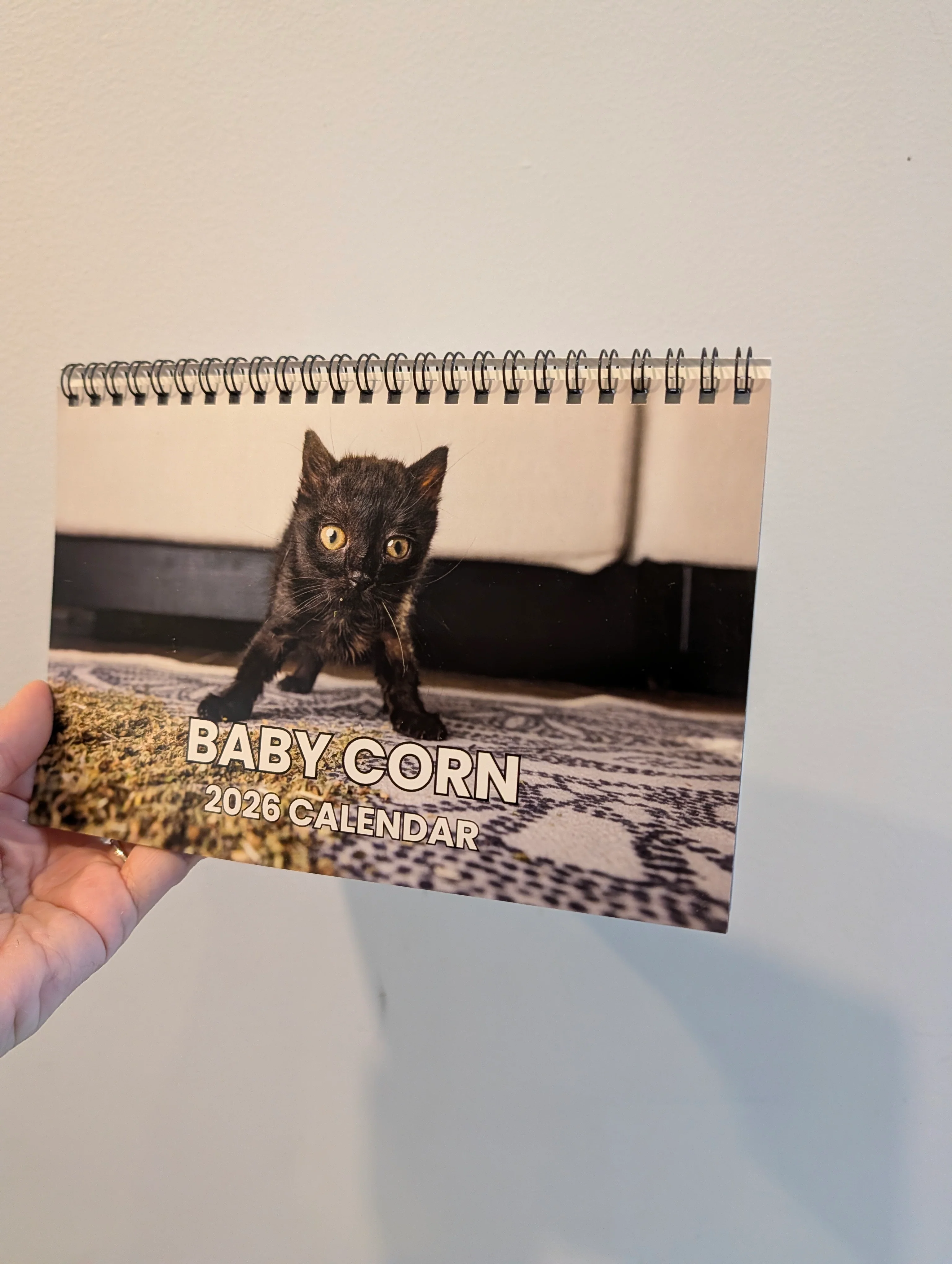 Baby Corn 2026 Desktop A Frame Calendar - Image 3