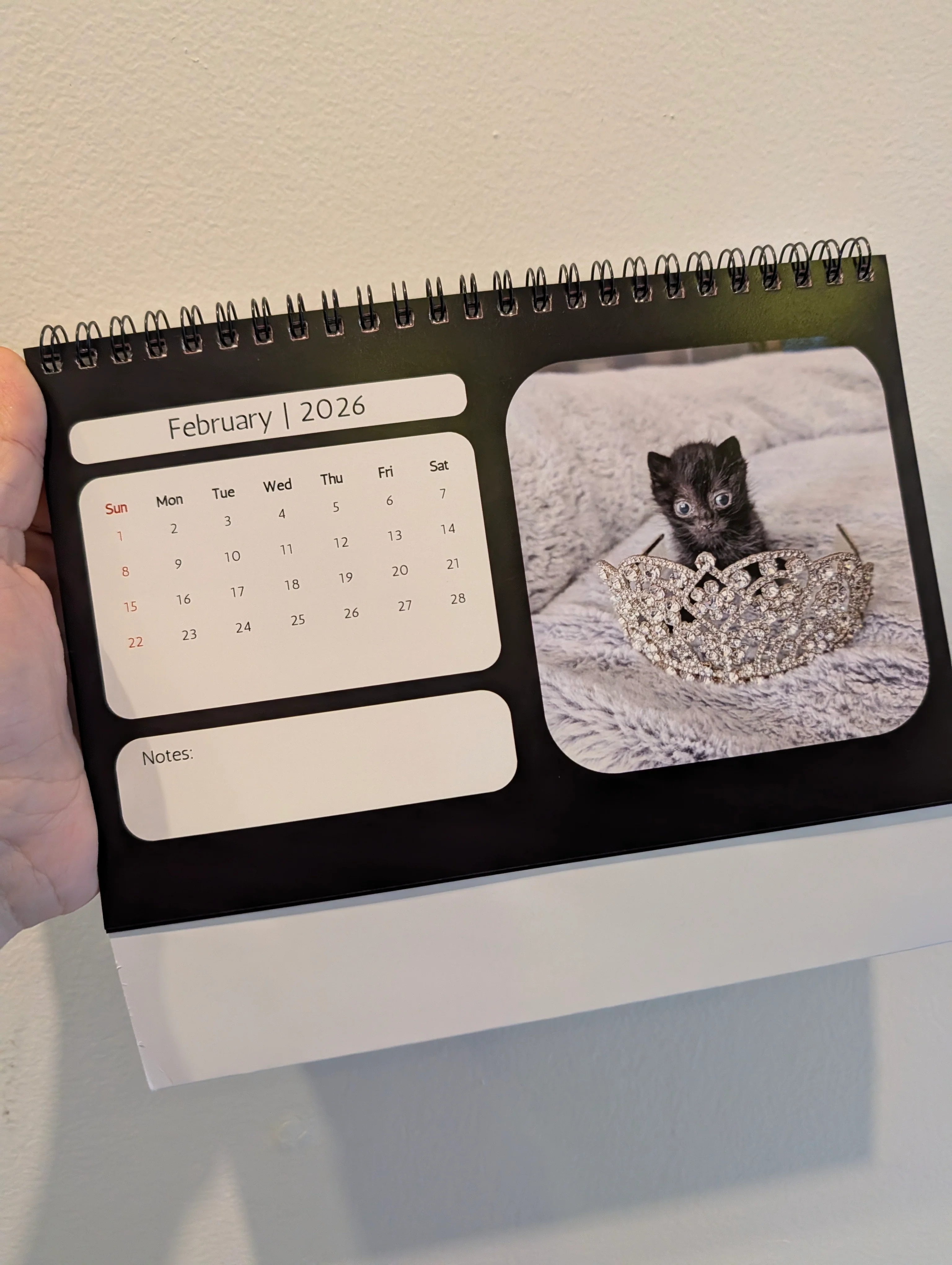 Baby Corn 2026 Desktop A Frame Calendar - Image 4