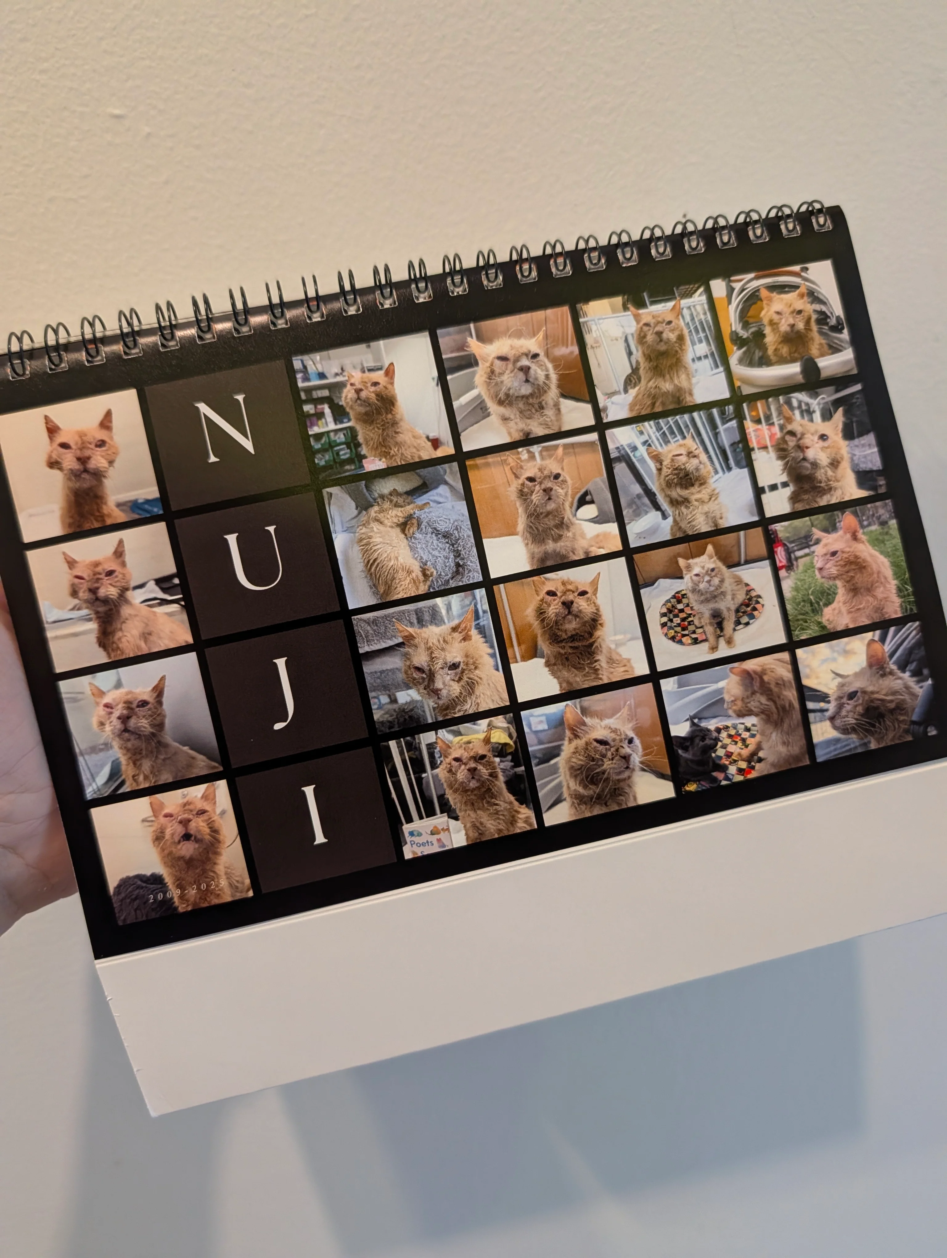 Baby Corn 2026 Desktop A Frame Calendar - Image 5