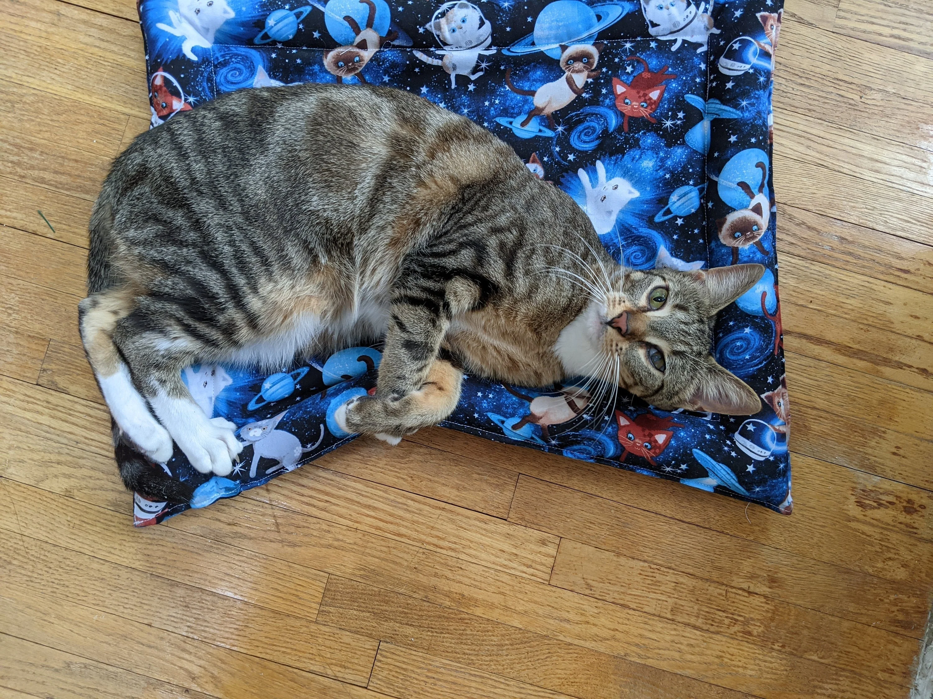 Catnip & Silvervine Filled Cat Bed - sketch flower - Image 4