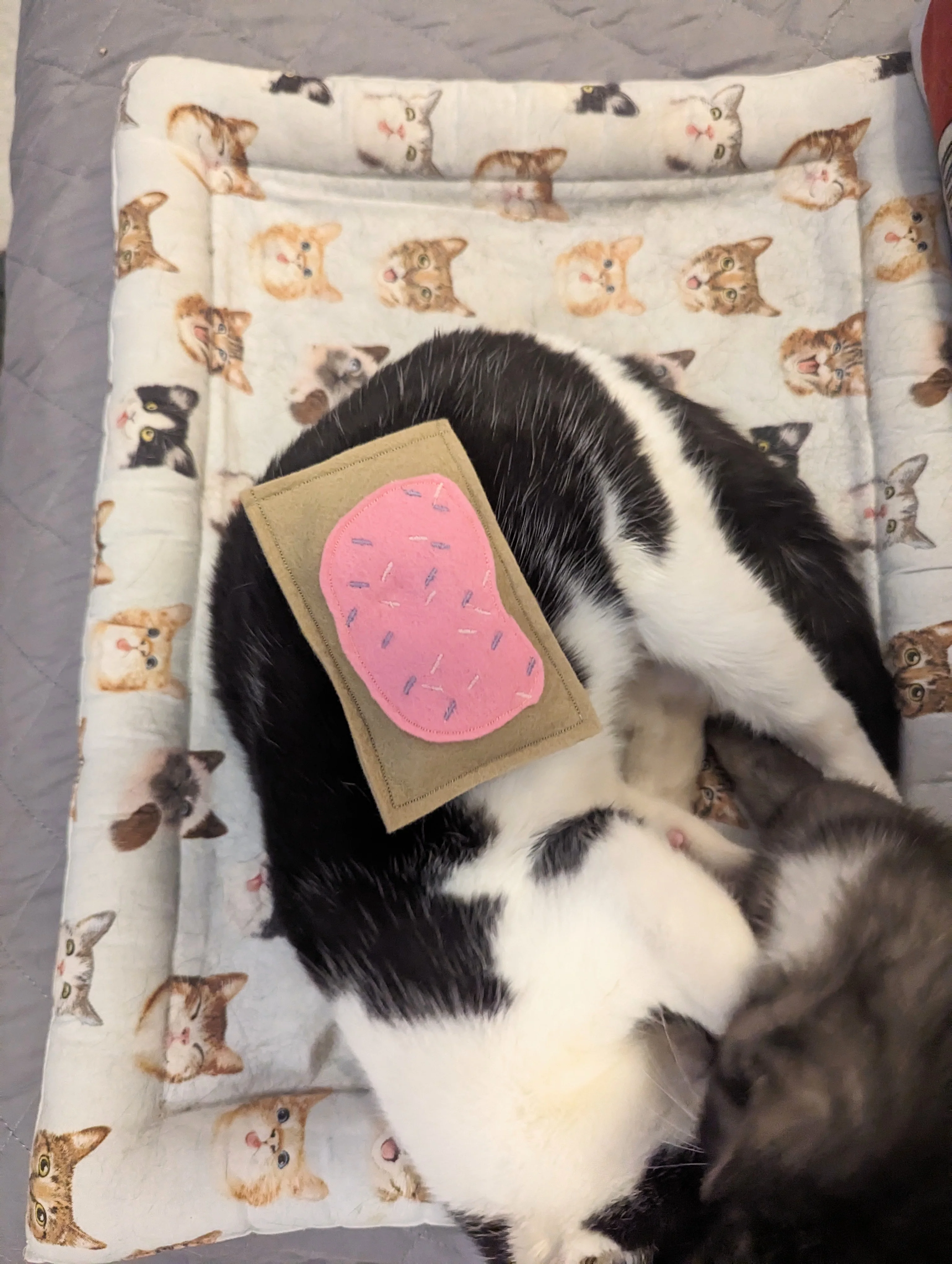One Catnip & Silvervine Hand Tart Toy Pink - Image 3