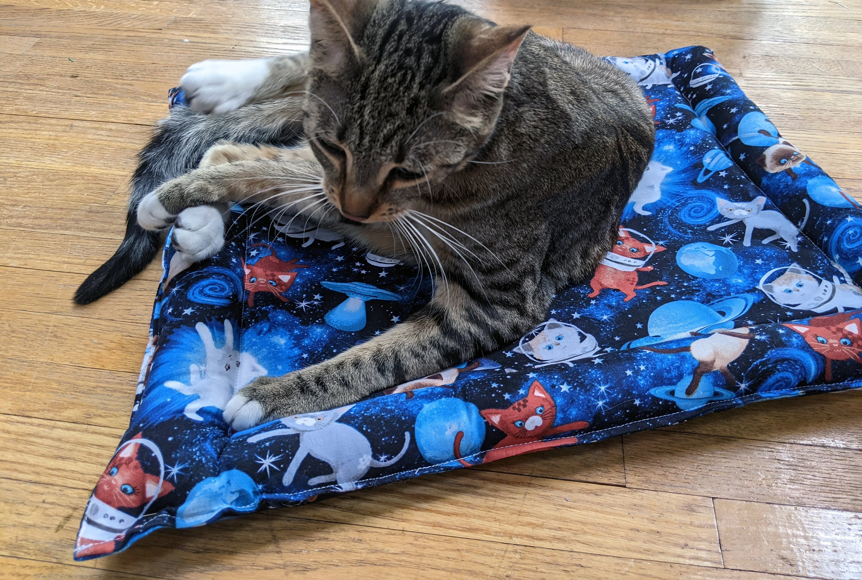 Catnip & Silvervine Filled Cat Bed - checker navy brown - Image 4